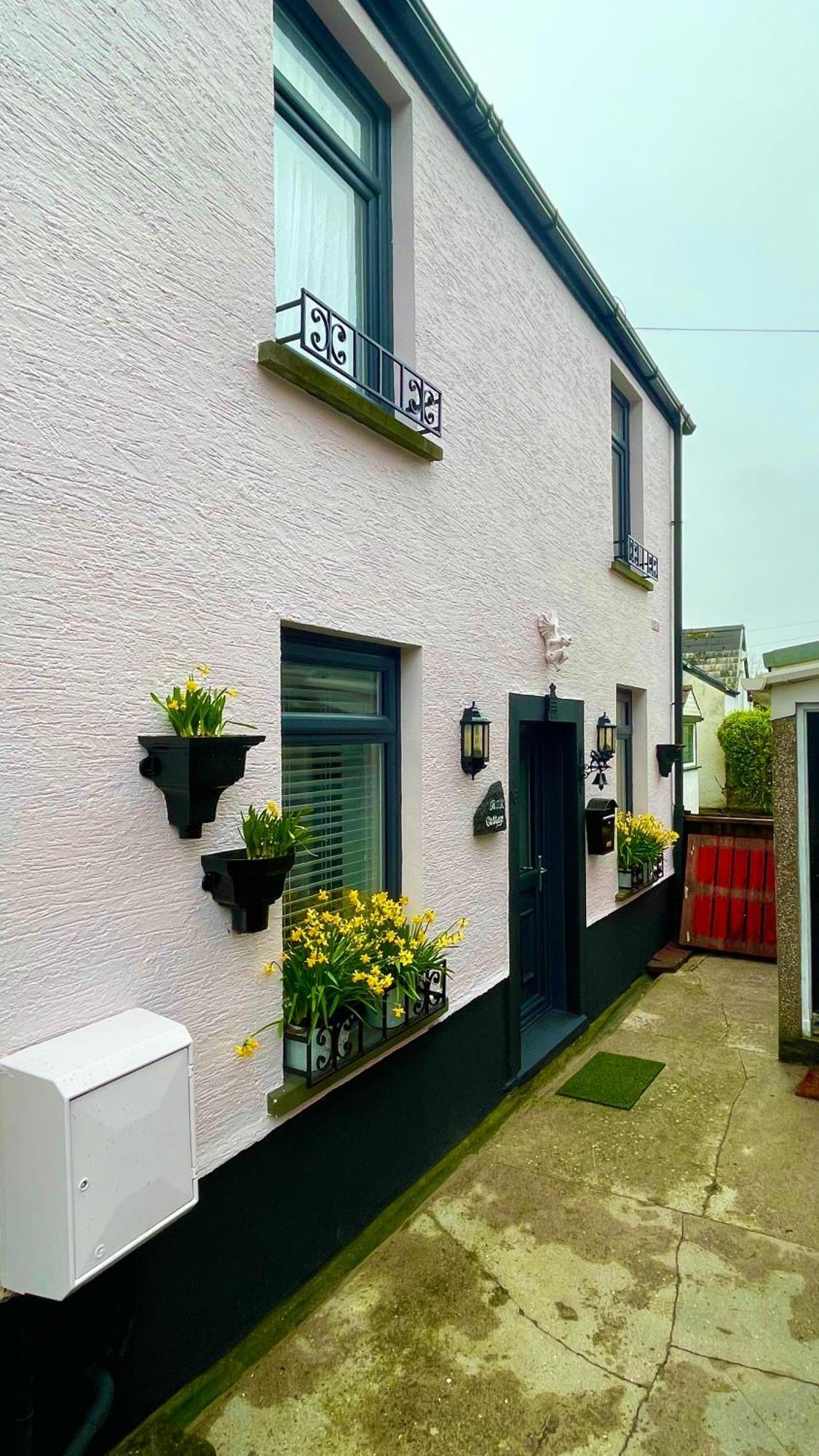 Beautiful Mumbles/Gower Cottage Swansea Esterno foto